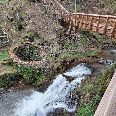 Turismo Rural Macieira Brava Guarda Kültér fotó
