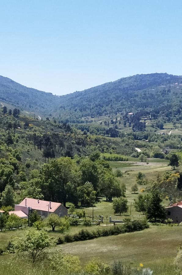 Turismo Rural Macieira Brava Guarda Kültér fotó