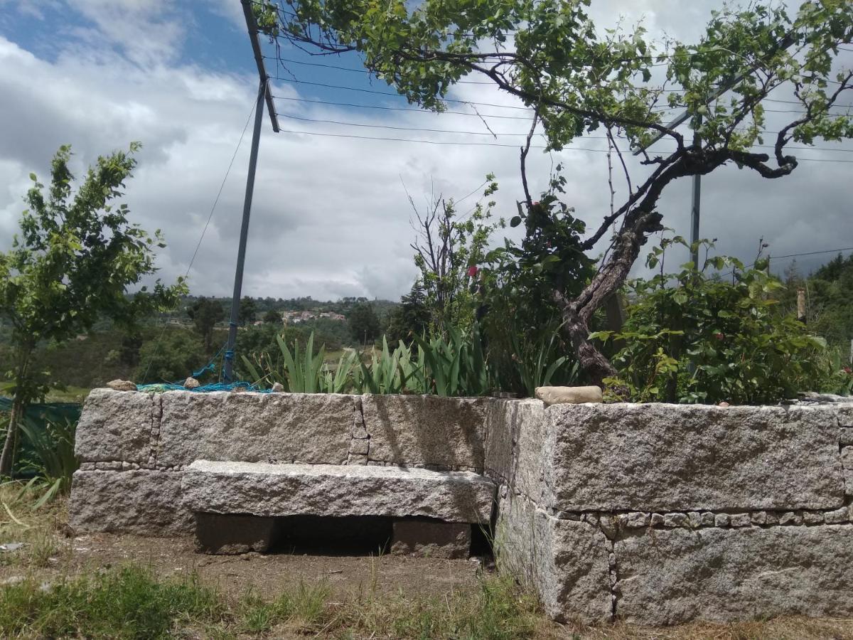 Turismo Rural Macieira Brava Guarda Kültér fotó