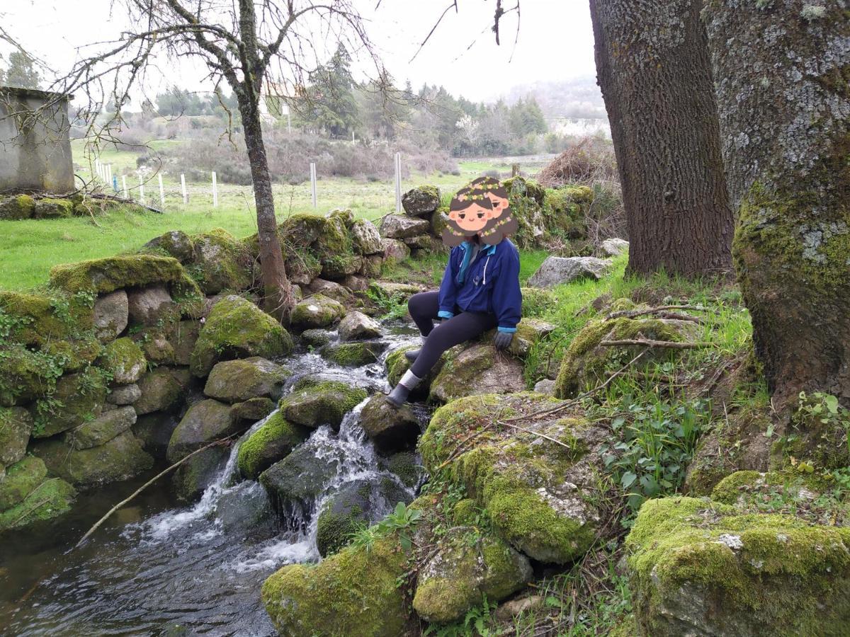 Turismo Rural Macieira Brava Guarda Kültér fotó