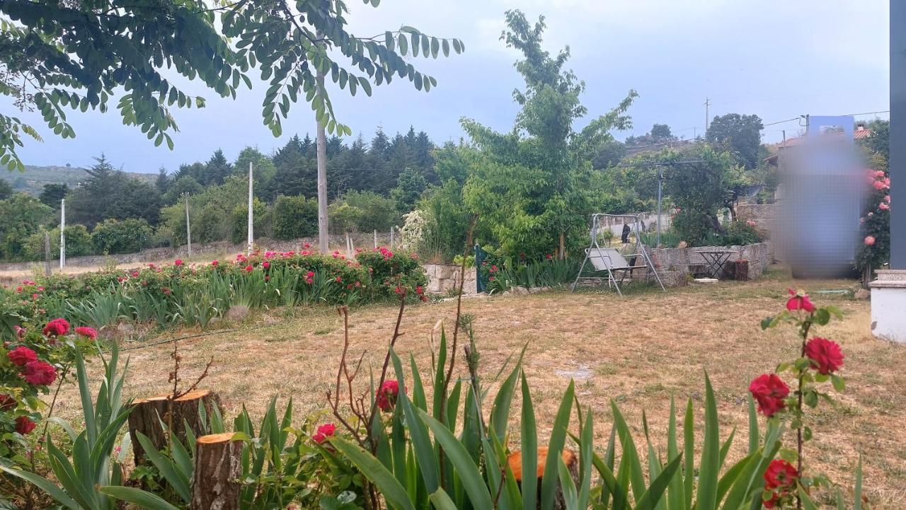Turismo Rural Macieira Brava Guarda Kültér fotó
