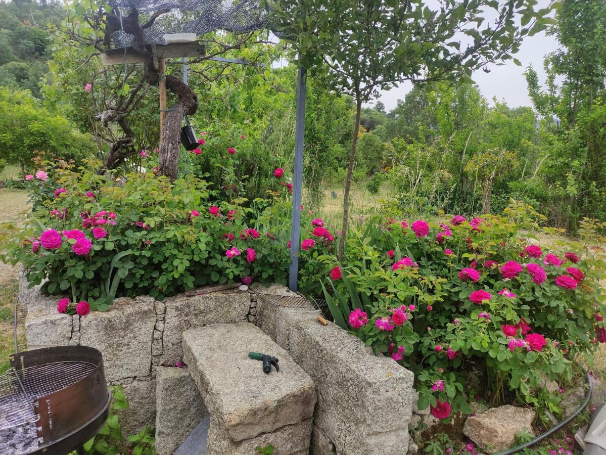 Turismo Rural Macieira Brava Guarda Kültér fotó
