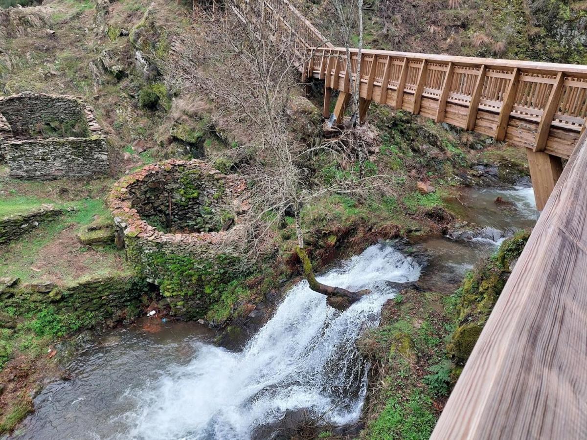 Turismo Rural Macieira Brava Guarda Kültér fotó