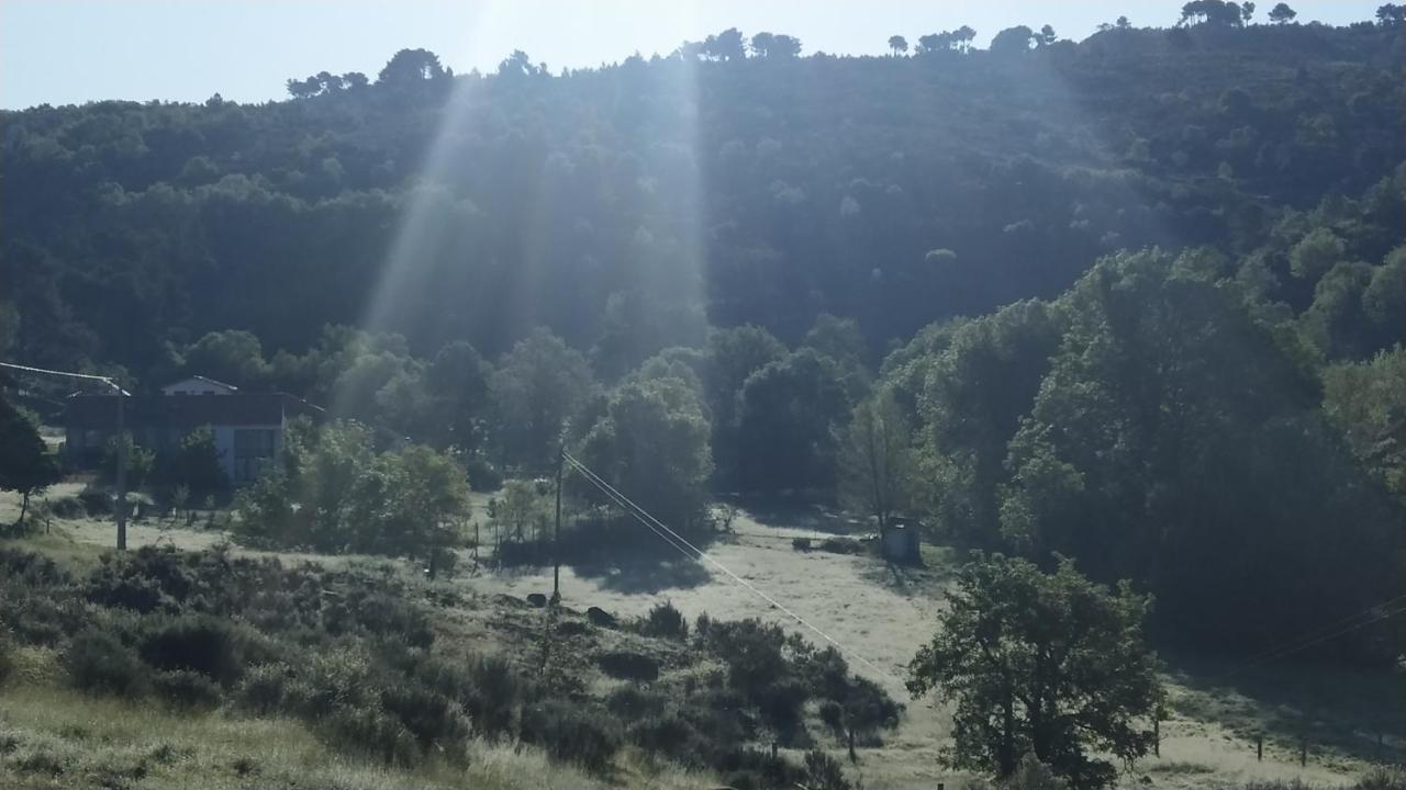 Turismo Rural Macieira Brava Guarda Kültér fotó