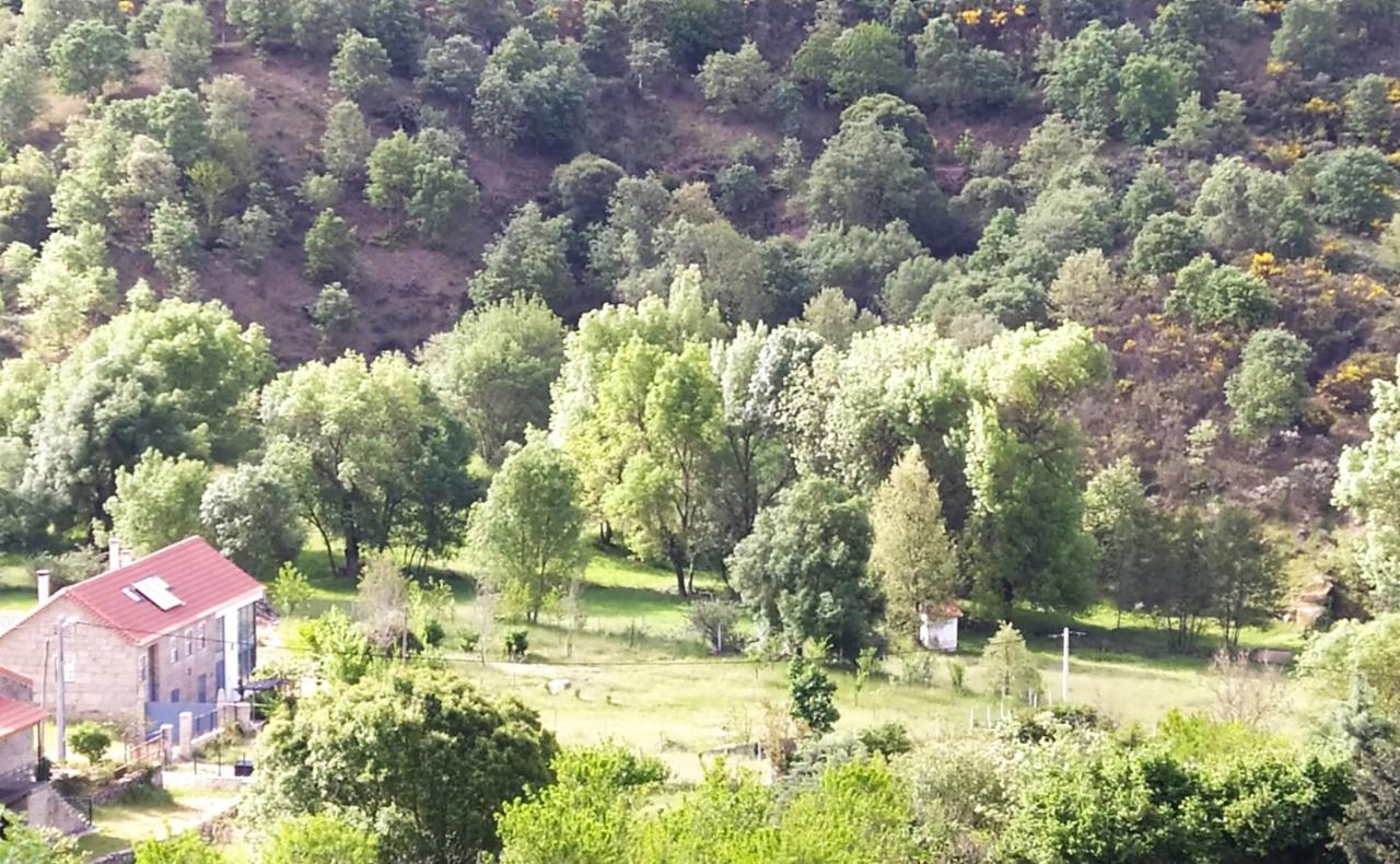 Turismo Rural Macieira Brava Guarda Kültér fotó